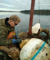 About Casco Bay Mooring | Casco Bay Maine