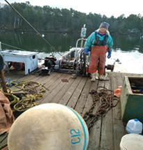 About Casco Bay Mooring | Casco Bay Maine